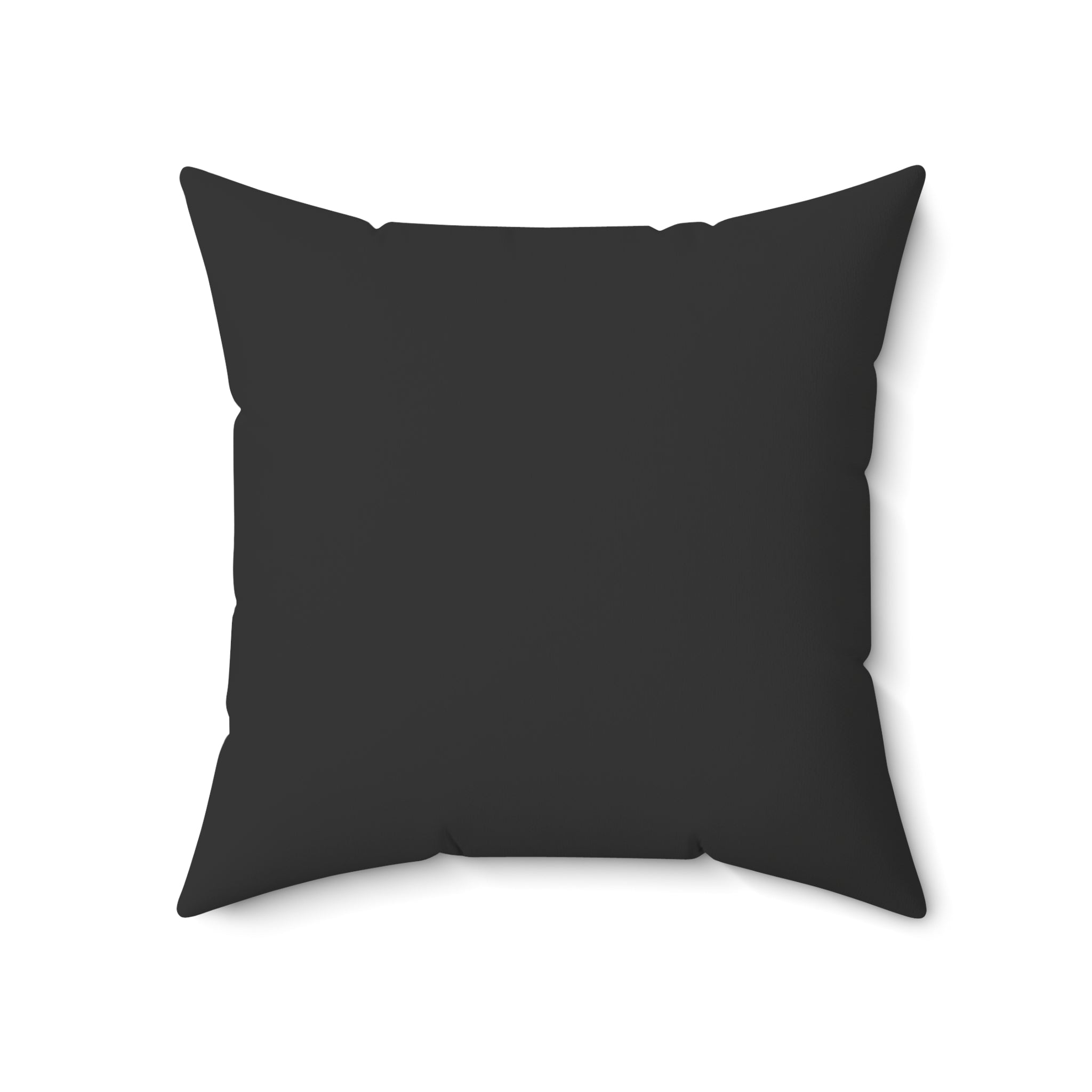 Black pillow on a white background