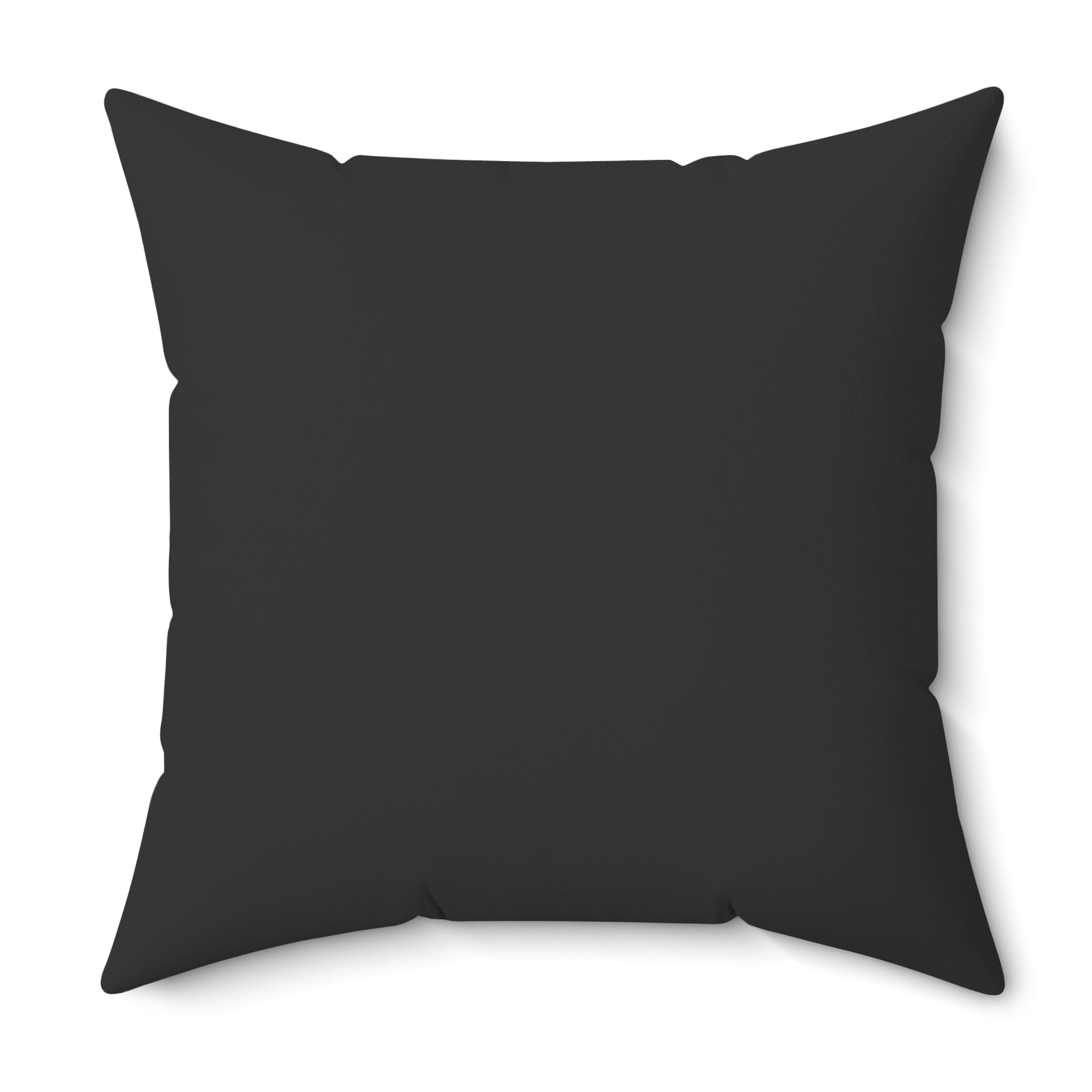 Black pillow on a white background
