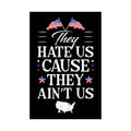 Black poster with American flags and text 'They Hate Us Cause They Ain't Us' on a white background